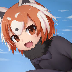 This is a pixiv picture whose title is レッサーパンダ.