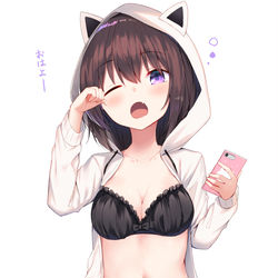 This is a pixiv picture whose title is 猫耳パーカー.