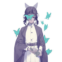 This is a pixiv picture whose title is 蝶.