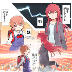 This is a pixiv picture whose title is シスコンVSシスコン.