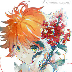 This is a pixiv picture whose title is 約束のネバーランド.