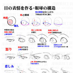 This is a pixiv picture whose title is 表情の作り方・目と口の表情、表情筋＋骨格の考え方.