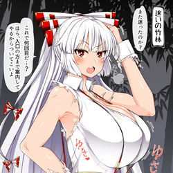 This is a pixiv picture whose title is いつの間にか爆乳になってたもこたんに怒られたい.