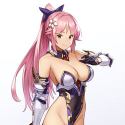 This is a pixiv picture whose title is ハイレグ騎士団.