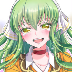 This is a pixiv picture whose title is c.c.落書き.