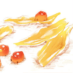 This is a pixiv picture whose title is ドライマンゴー.