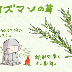 This is a pixiv picture whose title is 【PFLS】ワイズマンの草【アイテム.