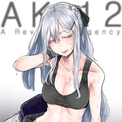 This is a pixiv picture whose title is AK12.