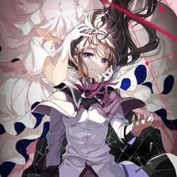 This is a pixiv picture whose title is ほむまど.