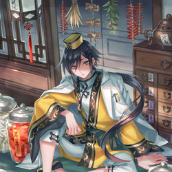 This is a pixiv picture whose title is 漢方.