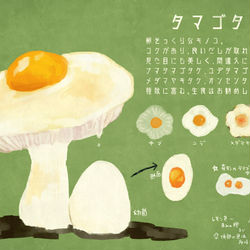 This is a pixiv picture whose title is 【PFLS】タマゴタケ【食料】.