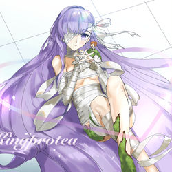 This is a pixiv picture whose title is Kingprotea.