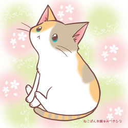 This is a pixiv picture whose title is 猫の日.
