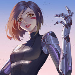 This is a pixiv picture whose title is ALITA.