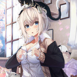 This is a pixiv picture whose title is はる.