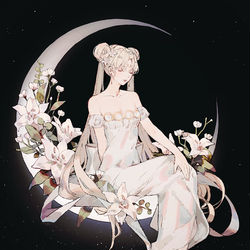 This is a pixiv picture whose title is プリンセス・セレニティ.