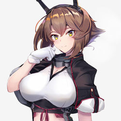 This is a pixiv picture whose title is 陸奥改二.