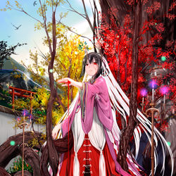 This is a pixiv picture whose title is 神樹姫の血.