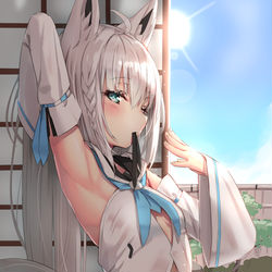 This is a pixiv picture whose title is 白上フブキ.