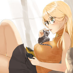 This is a pixiv picture whose title is 猫とゲーム.