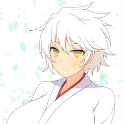 This is a pixiv picture whose title is 巫女の日雅緋ちゃん.