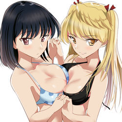This is a pixiv picture whose title is スクールランブル.
