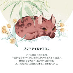 This is a pixiv picture whose title is 【PFLS】ブクマテイルヤマネコ【モンスター】.