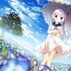 This is a pixiv picture whose title is ネモフィラ.