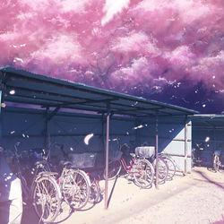 This is a pixiv picture whose title is Sakura.