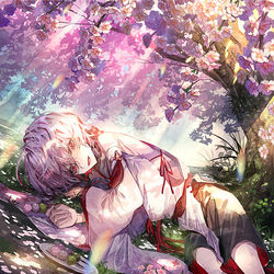 This is a pixiv picture whose title is 桜.