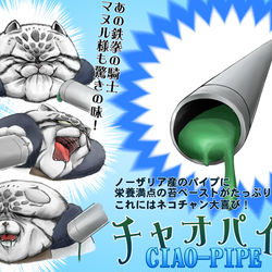 This is a pixiv picture whose title is 【PFLS】チャオパイプ【ノーザリア】.