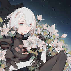 This is a pixiv picture whose title is 2b.