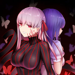 This is a pixiv picture whose title is lost butterly.