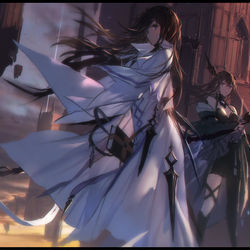 This is a pixiv picture whose title is 【PFLS】 -崩壊の翼 st.1.0-.