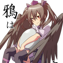 This is a pixiv picture whose title is 鴉は奈落で啼く.
