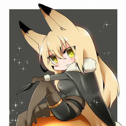 This is a pixiv picture whose title is 【PFLS】極夜.
