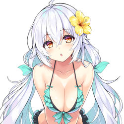 This is a pixiv picture whose title is 水着ラプアさん.