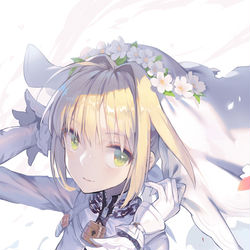 This is a pixiv picture whose title is ブライド.