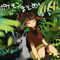 This is a pixiv picture whose title is ポケモンまとめ11.