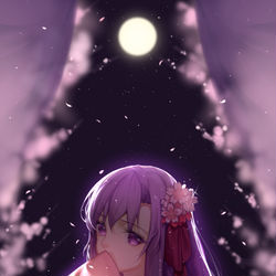 This is a pixiv picture whose title is 夜桜.