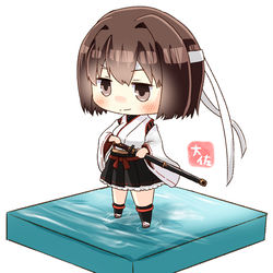 This is a pixiv picture whose title is 師匠改二.
