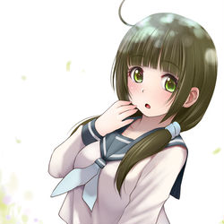 This is a pixiv picture whose title is 胡蝶ちゃん.