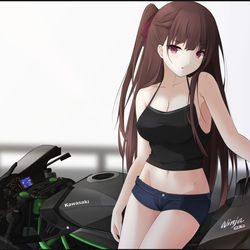 This is a pixiv picture whose title is WA2000 - Ninja H2 R.