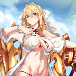 This is a pixiv picture whose title is 水着ネロ.