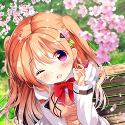 This is a pixiv picture whose title is クロラビココアちゃん.