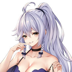 This is a pixiv picture whose title is シルヴァ.