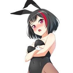 This is a pixiv picture whose title is バニー蘭ちゃん.