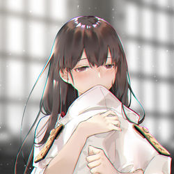This is a pixiv picture whose title is 赤城.