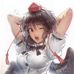 This is a pixiv picture whose title is 射命丸.
