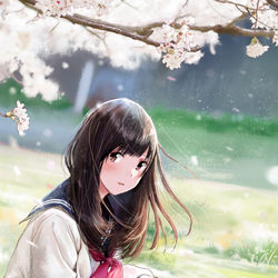 This is a pixiv picture whose title is 君と、はじまりの季節.